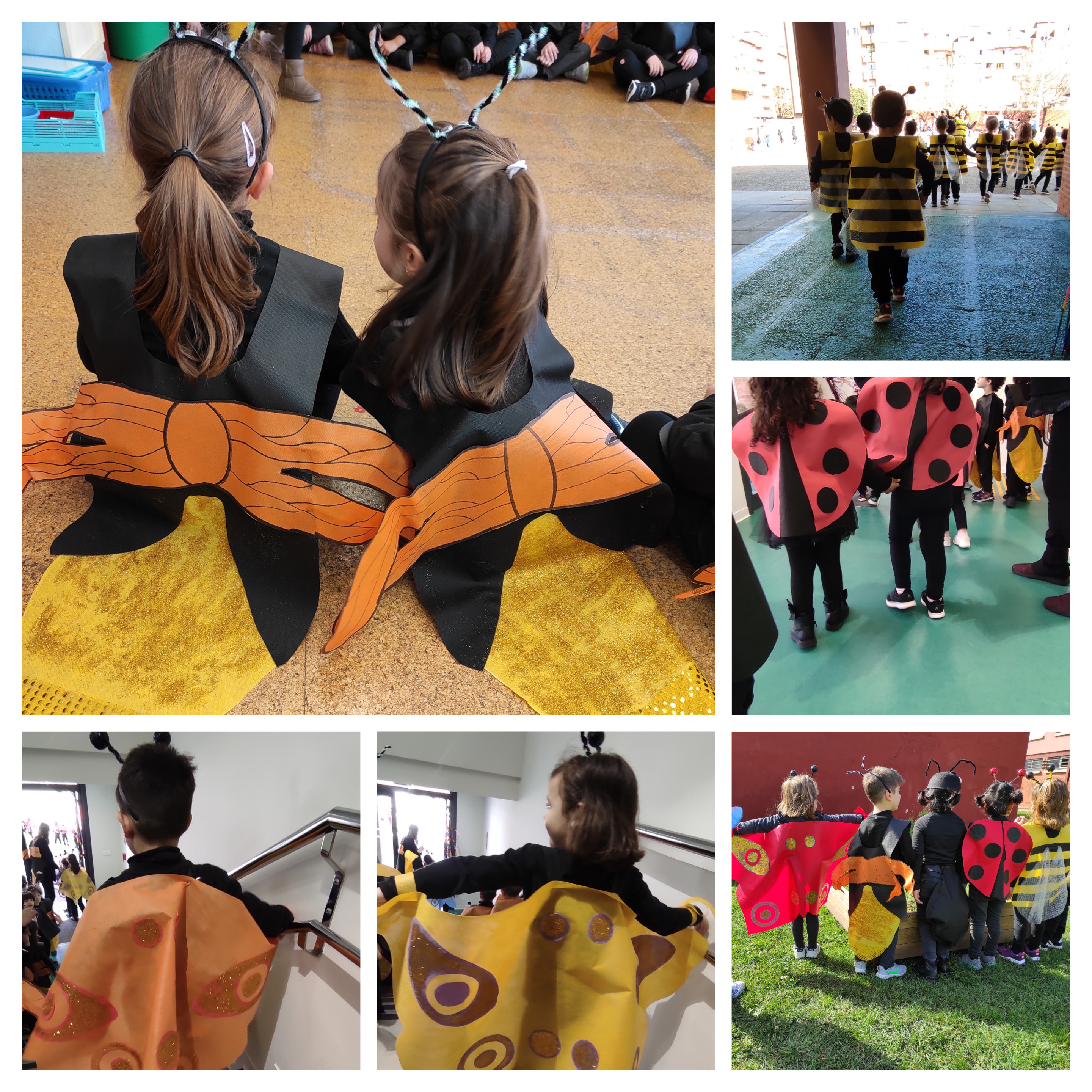 CARNAVAL DESFILE. 2024-25.