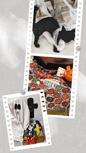 Ambientación de Halloween en Educación Infantil. 