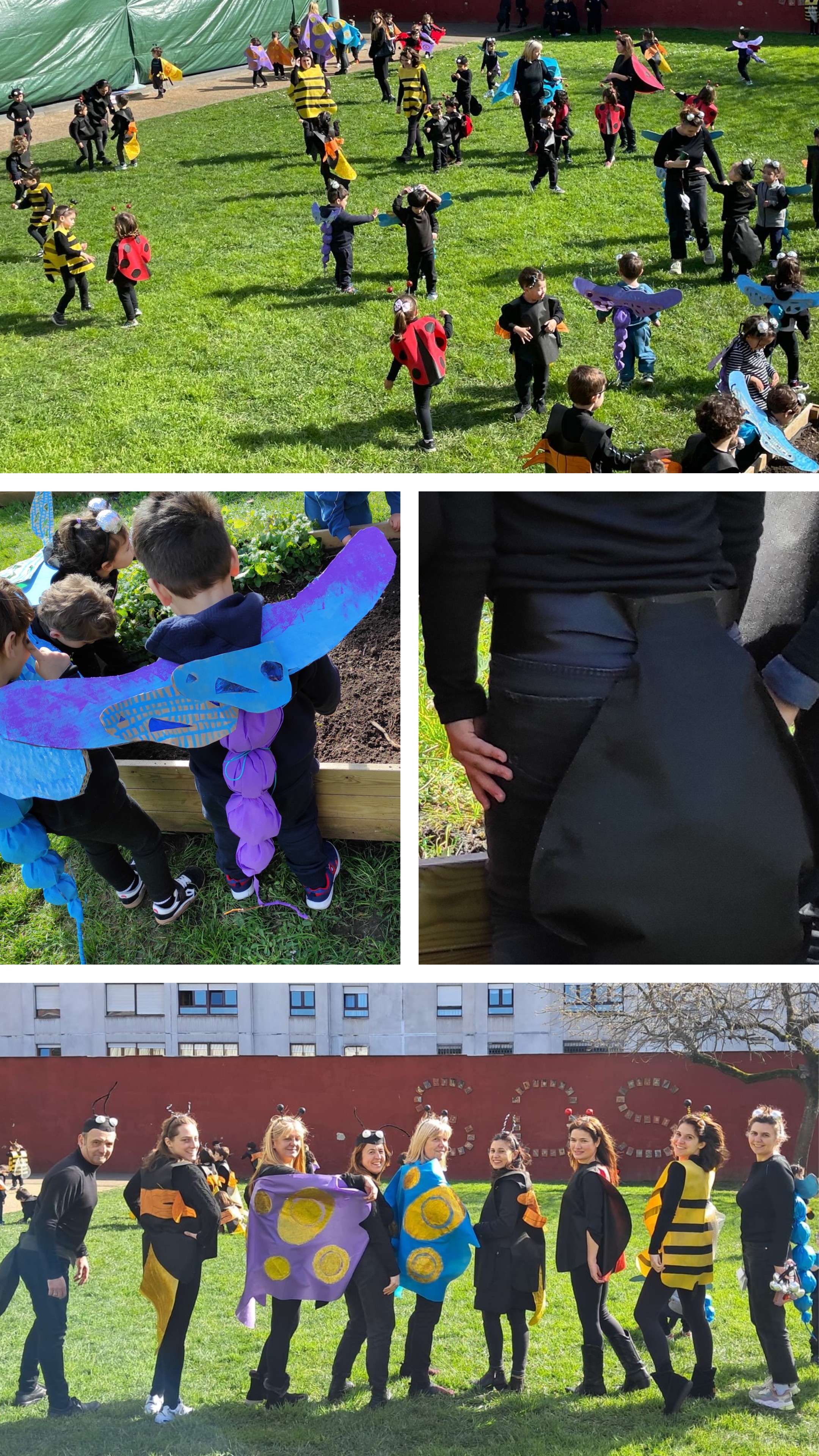 CARNAVAL EN LA HIERBA. 2024-25.