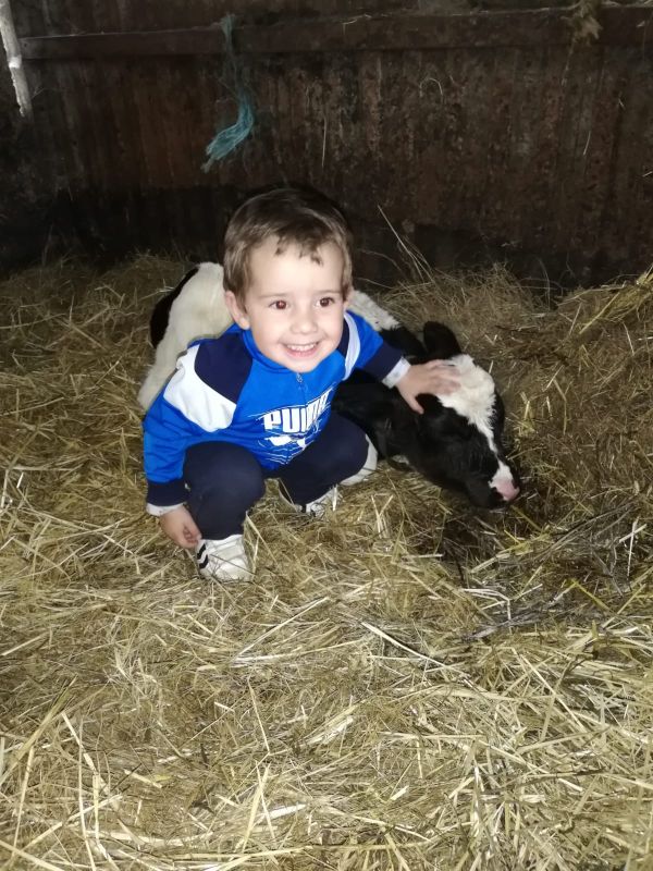 Propuestas familiares - Alojaweb