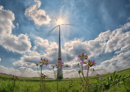 PROGRAMA DE MEDIOAMBIENTE