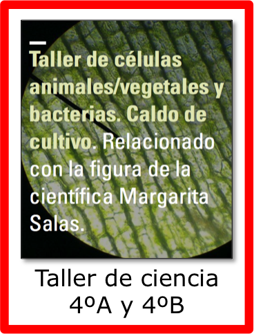 Taller de ciencia en 4º curso