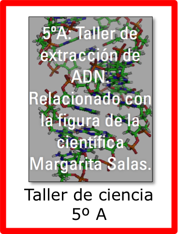 Taller de ciencia en 5ºA