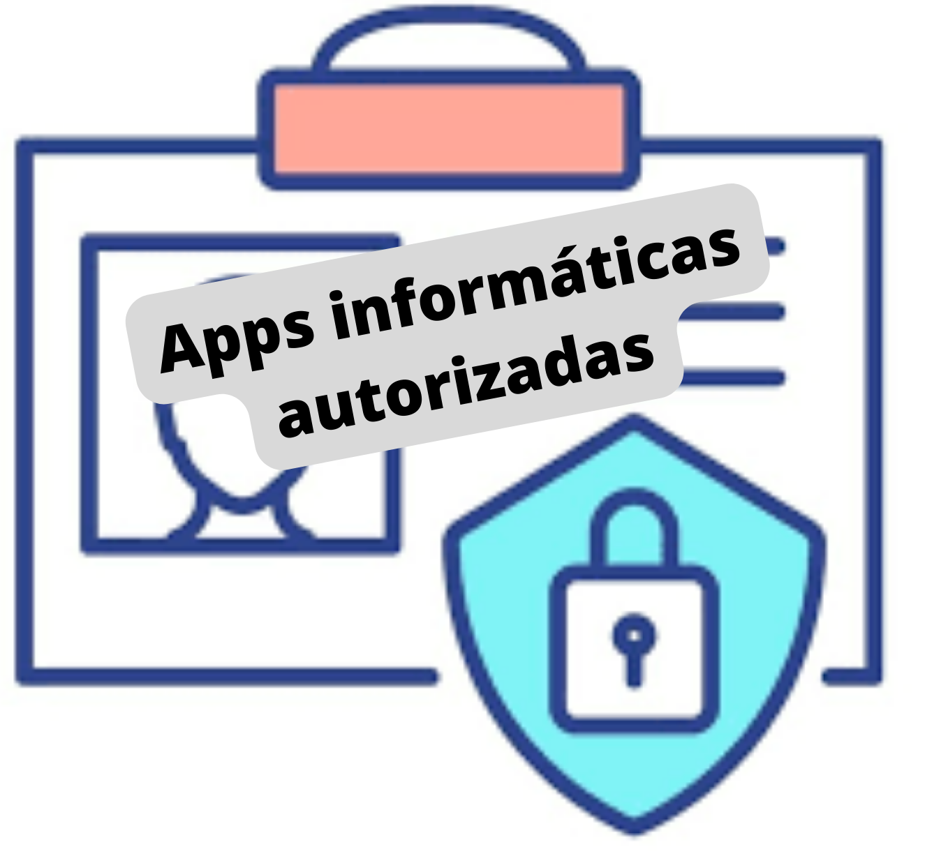 Aplicaciones informáticas autorizadas