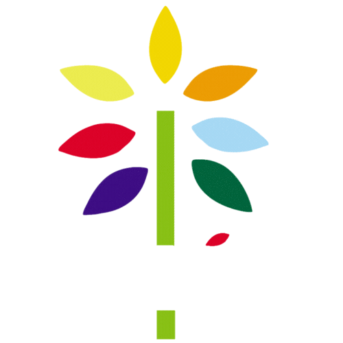 Colegio Público Lloréu