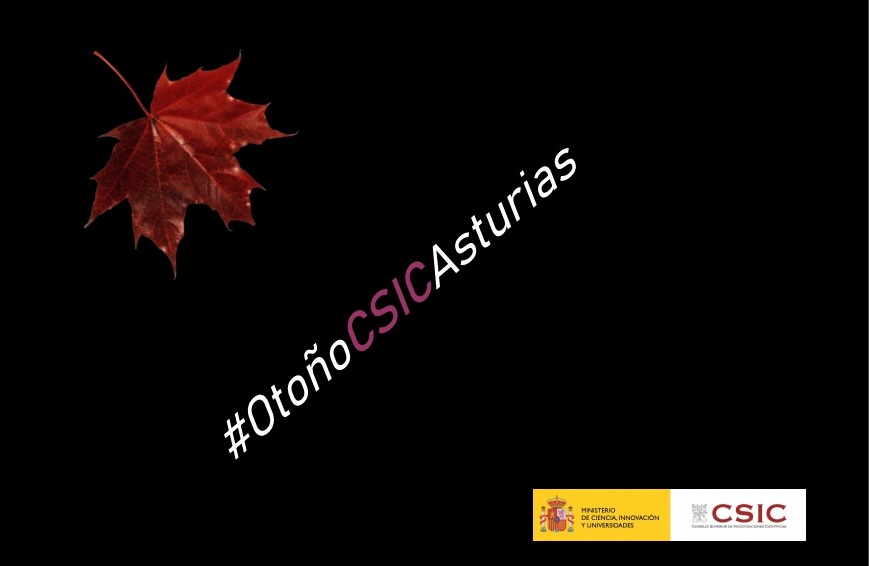 Charlas Otoño CSIC