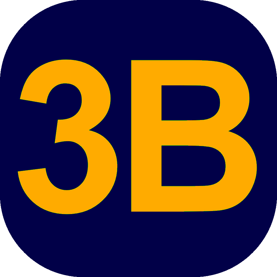 3B