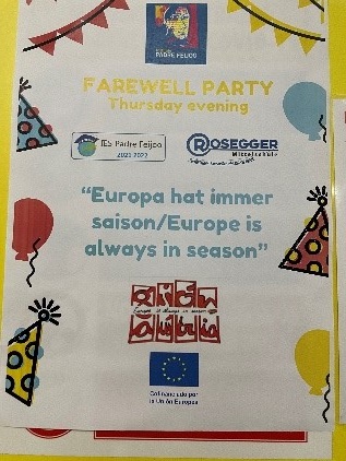 Cartel Fiesta de despedida