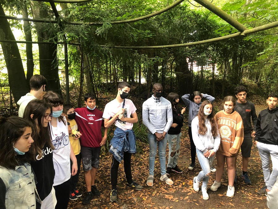 TEI: Visita al Botánico