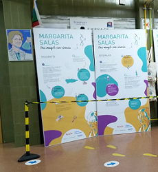 Exposición Margarita Salas