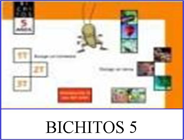 bichitos-5.jpg