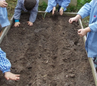 Actividad complementaria 7