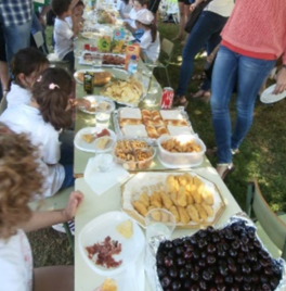 Actividad complementaria 10