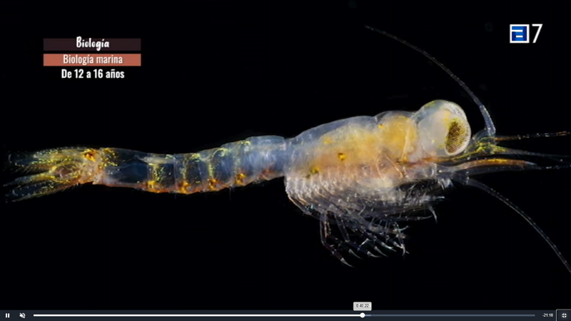 Educastur TV. CAPÍTULO 13. Emitido el viernes 24 de abril de 2020