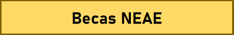 Becas NEAE