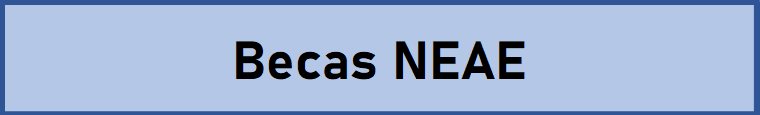 Becas NEAE