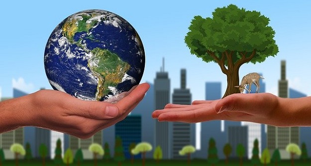 Salud y Medio ambiente