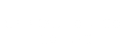 cpbrauliovigon