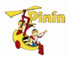 EEI Pinín